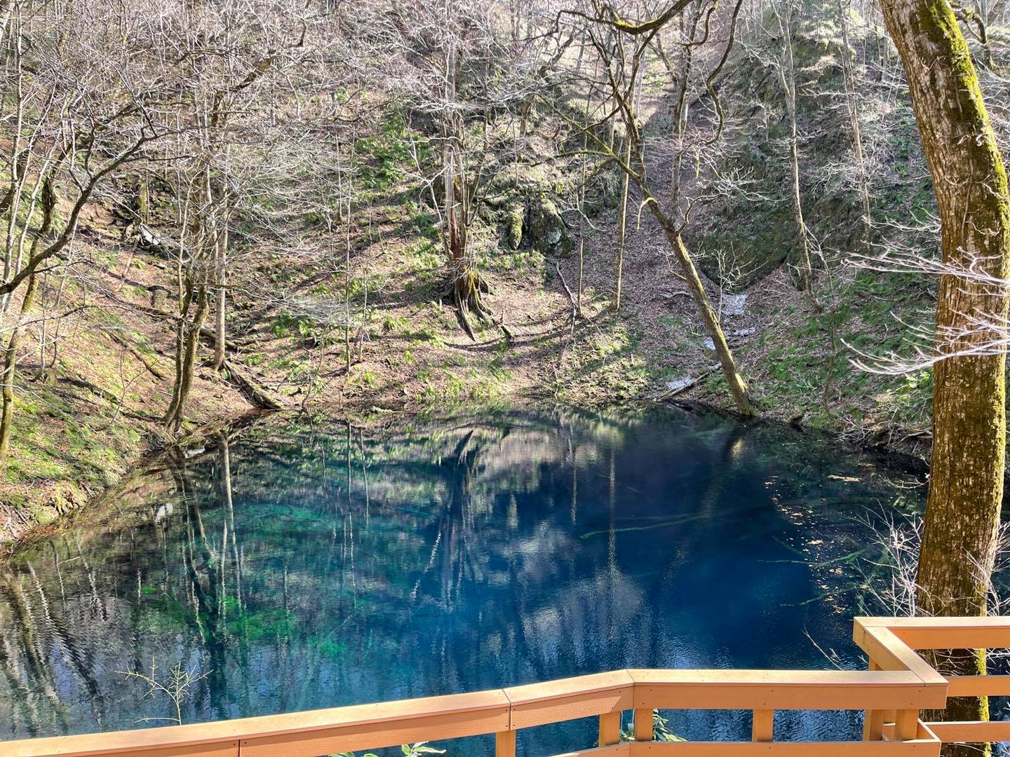 深浦ってどこ-FUKADOCO-青森県深浦町観光公式サイト 新着情報 青森県深浦町の観光情報なら「深浦ってどこ?(通称ふかどこ)」をチェック ...